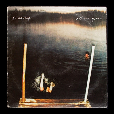 S. CAREY - All We Grow