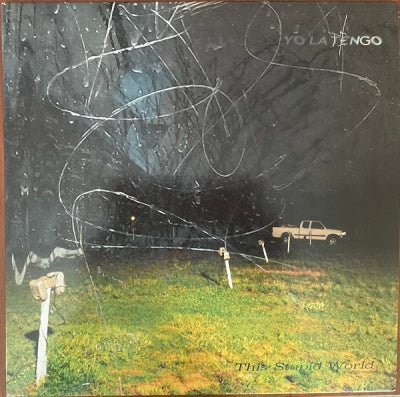 YO LA TENGO - This Stupid World