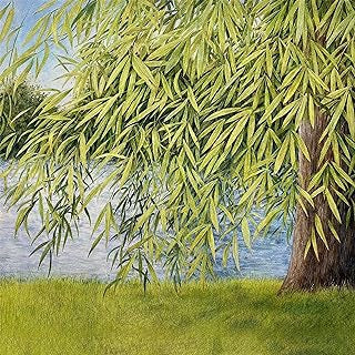 MARTIN SIMPSON, THOMM JUTZ - Nothing But Green Willow (The Songs Of Mary Sands And Jane Gentry)