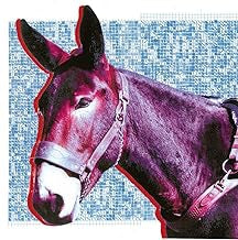 PROTOMARTYR - Ultimate Success Today