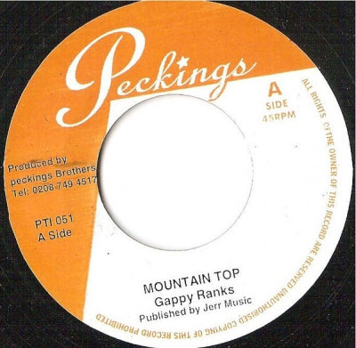 GAPPY RANKS / JAH MALI - Mountain Top / Love For Each Other