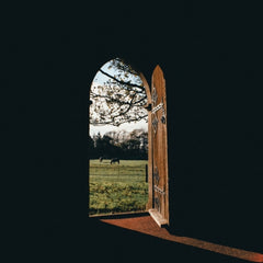 LONE WOLF - Lodge