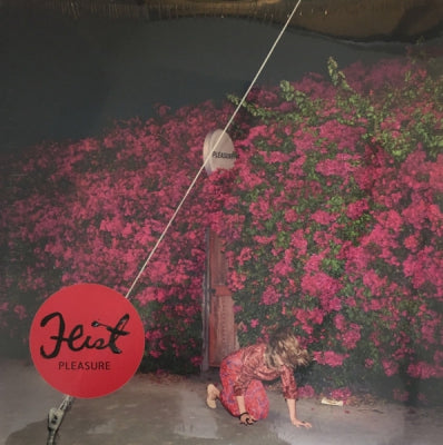 FEIST - Pleasure