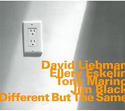 DAVID LIEBMAN, ELLERY ESKELIN, TONY MARINO, JIM BLACK - Different But The Same