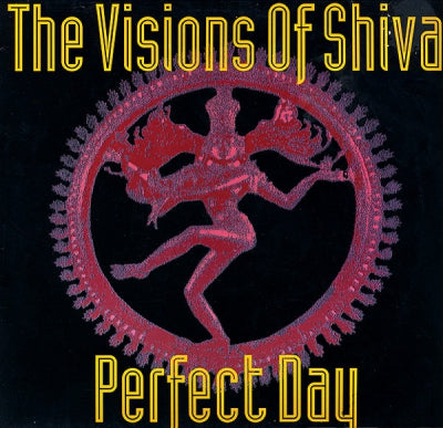 VISIONS OF SHIVA - Perfect Day