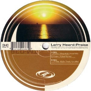 LARRY HEARD  - Praise