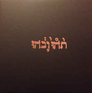 GODSPEED YOU! BLACK EMPEROR - Slow Riot For New Zero Kanada EP