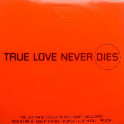 FLIP & FILL FEATURING KELLY LLOENNA - True Love Never Dies