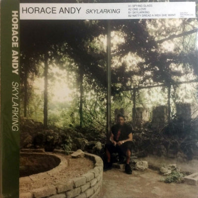 HORACE ANDY - Skylarking