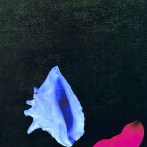 NEW ORDER - Touched By The Hand Of God