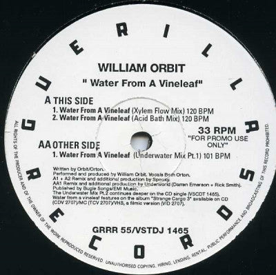 WILLIAM ORBIT - Water From A Vine Leaf