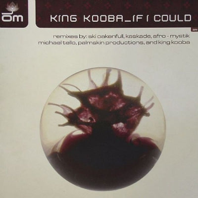 KING KOOBA - If I Could