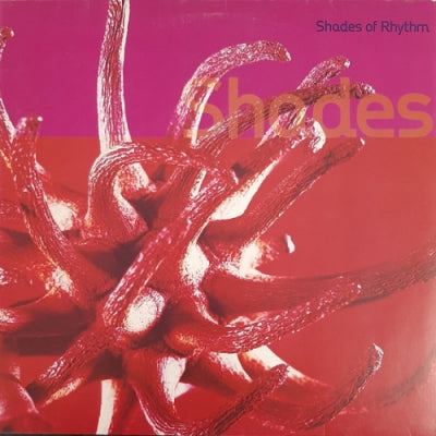 SHADES OF RHYTHM - Shades