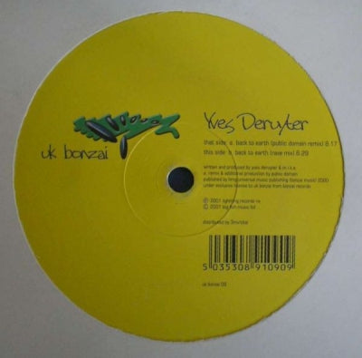 YVES DERUYTER - Back To Earth