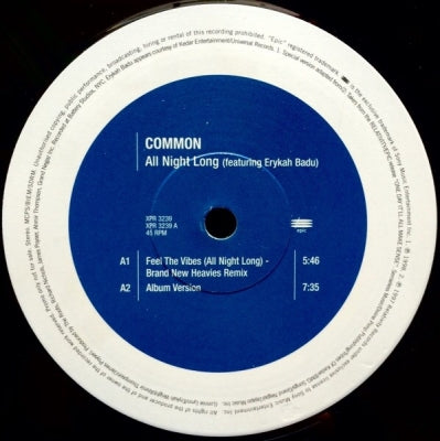 COMMON FEATURING ERYKAH BADU - All Night Long