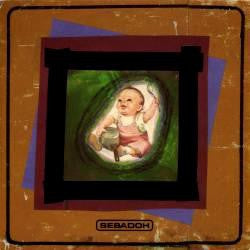 SEBADOH - Soul And Fire