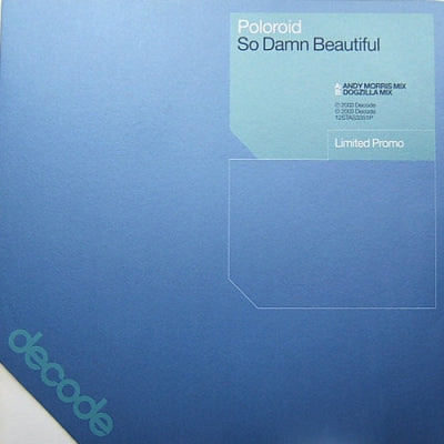 POLOROID - So Damn Beautiful