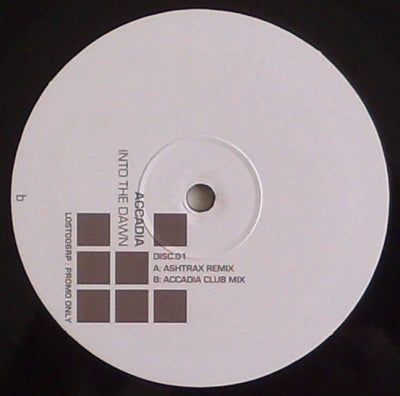 ACCADIA - Into The Dawn