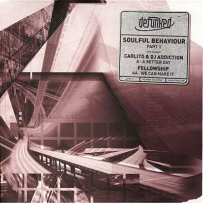 VARIOUS - Soulful Behaviour Part 1