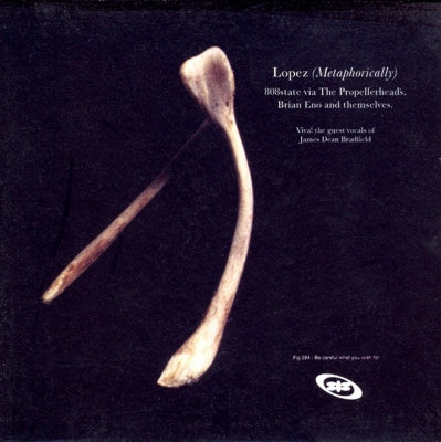 808 STATE w/ JAMES DEAN BRADFIELD - Lopez