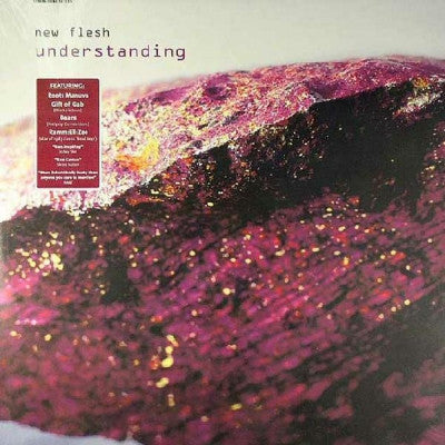 NEW FLESH - Understanding