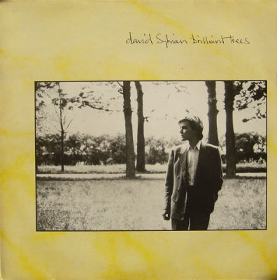 DAVID SYLVIAN - Brilliant Trees
