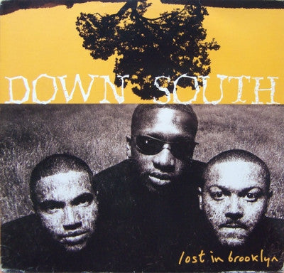 DOWN SOUTH - Lost In Brooklyn