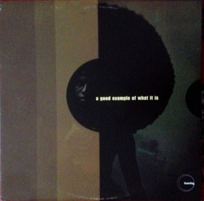 VARIOUS - A Good Example Of What It Is