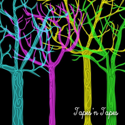 TAPES'N'TAPES - The Loon